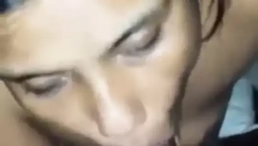 Sugiwa srilankan safra emmek