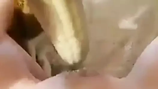 Der Maiskolben in mir