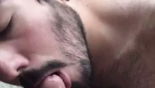 emme kalın porto rikolu horoz