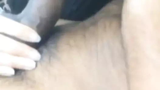 emme büyük arap horoz