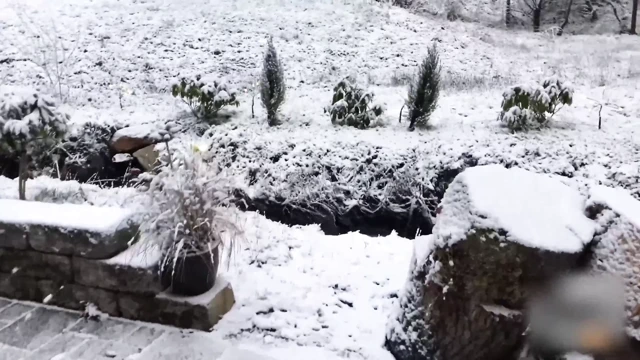 Siktir et ile twinks içinde bir jakuzide kışın