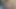 KEDİ olduğunu her zaman aç için ham horoz