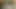Sihirli değnek kullanarak külotlu çorap Latina