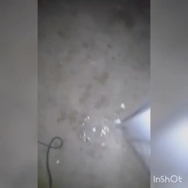 'nin ikinci bölümü. bana sikini gösteren kuzenim