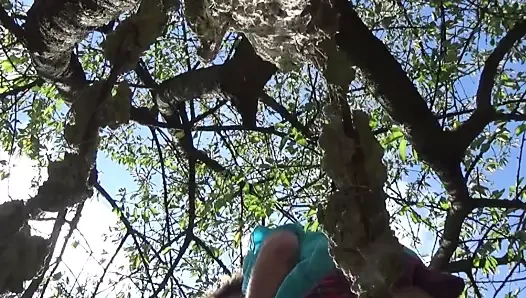 Olgun düz okul açık havada anal yapay penis 26