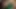 Creampied kolej genç profesör tarafından iç cumshot hoşlanır