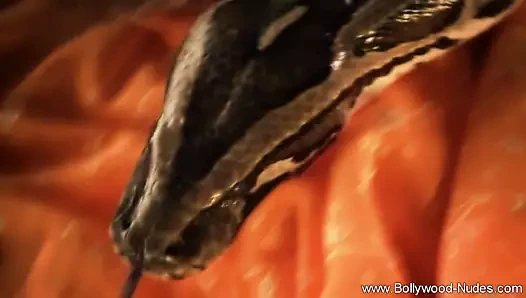 güzel bir bollywood