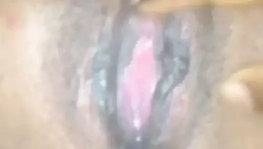 Oynama ile ona sulu kedi