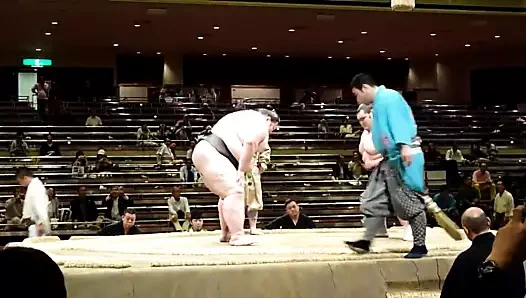 Orora Sumo  Natsubasho 2013