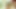 Sexpot nicole aniston arka bahçesinde creampied alır