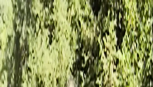 Islak pamuklu külot vol. 2 — bölüm 3