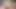 773340190579105792.mp4