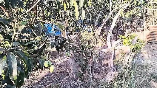 18 yaşındaki genç kız ağaçta meyve toplarken çiftçi bir çocuğu ona mastürbasyon yaparken yakaladı