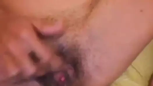 güzel kıllı KEDİ sürtünme