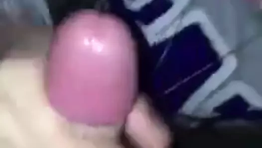 Amerikan özçekimi 782829