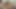 Dahlia sky yüzünün her yerine yük almaktan hoşlanıyor ve daha erken