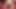 German boy naked and shaved