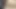 deniyor köpek