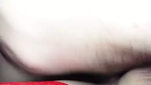 tranny tanja fahişe