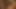 ficken mit Orgasmuss