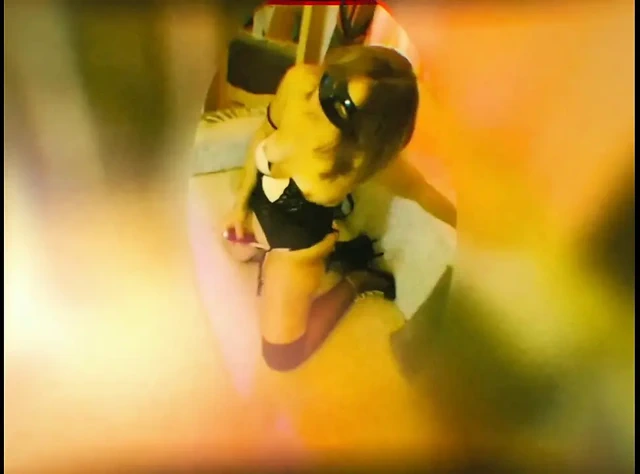 Amuse Gueulle Compilation