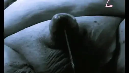 Prenses memeler boşalma boşalması 2