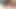 Latin sürtme kedi