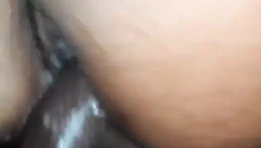 Amador Caseiro Real 24