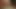 damlayan ıslak kedi