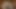 Ateşli bu iki ateşli sürtük lezbiyen dildo oyununun tadını çıkarıyor ve