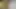 Yaşlı ve genç amcık yalıyor 69 pozisyonunda yarak emiyor