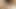 Latina dolgun porno julia sands gets kazık sürücü becerdin