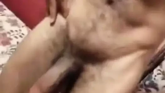 Urso mega dotado