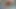 Çıplak Yağlanmış Solo Göt Tıkacı Göt Dildo Sikiş Yağlanmış Ayakları Patlayıcı Boşalma