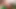 Suudi güzel orta yaşlı seksi üvey anne üvey oğlu tarafından sikiliyor - büyük göt sikişi ve döl