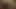 18 yıl asyalı karışık siyah kedi dudak emme fındık sperm