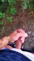 Ormanda bir yürüyüş