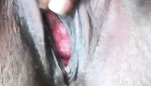 Grenada yan civciv 9 aşağı d et