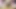 I can't stop doing this!!! hairy virgin rubbing.female masturbation