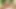 Genç seksi Asyalı güzel sert seksin tadını çıkarıyor