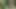 Nehir kenarında ateşli mastürbasyon
