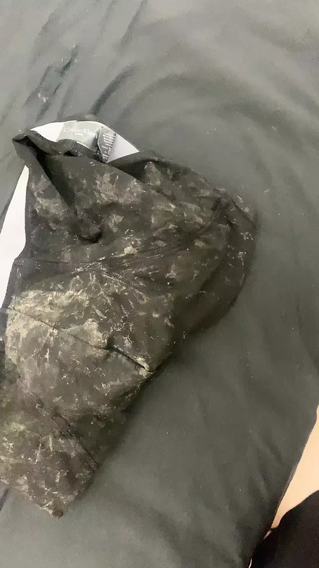 Boksörler cum dolu.