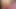 Piggy Rose büyük ayı ve lucipork ile xbiz miami'de yayın yapıyor