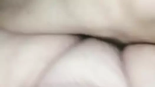 iliklerine ssbbw KEDİ