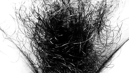 Tek renkli 3185'te şehvetli yansımalar