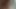 Hint boob ve kedi