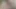 Bakire öğrenciye anatomi dersi
