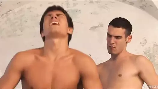 Randall çuvalları ve tim berry