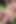 Golf Girl -ai Generated-
