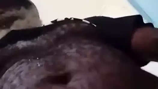 Highlands lapun papa 64